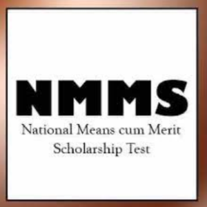 What Does NMMS Mean in Text?